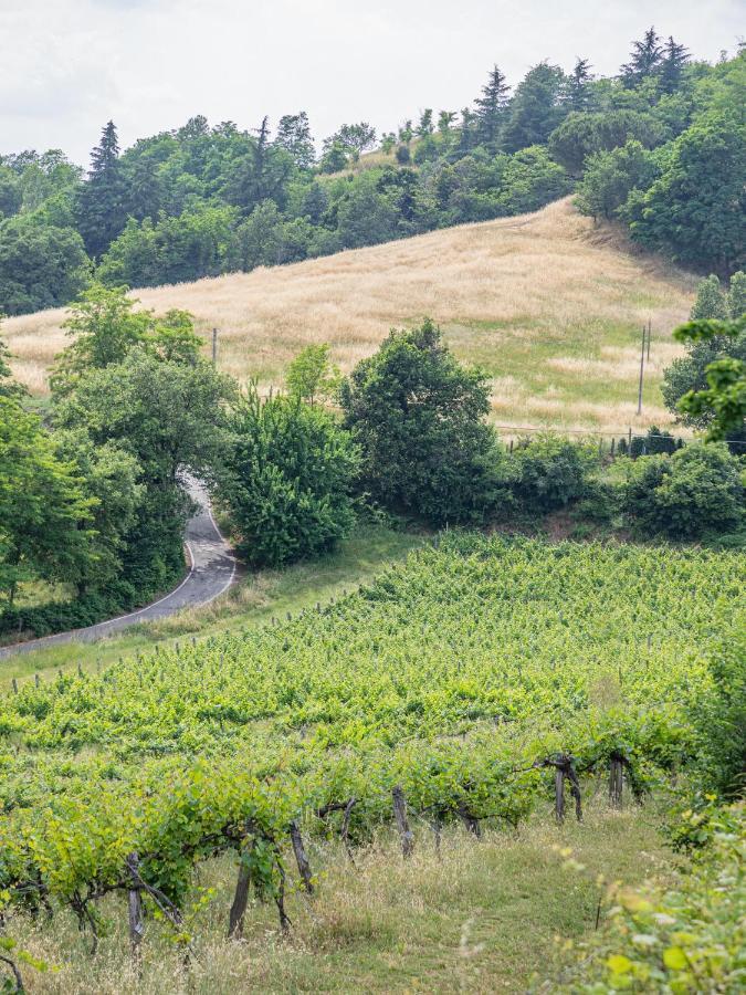 Fattorie Di Montechiaro Villa Sasso Marconi Ngoại thất bức ảnh
